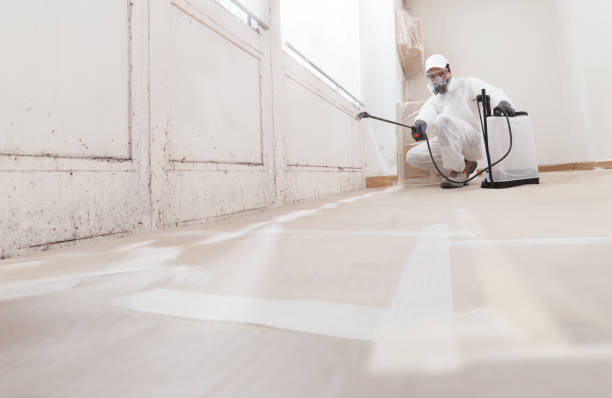 24/7 Emergency Black Mold Remediation experts in Kendall Park, NJ